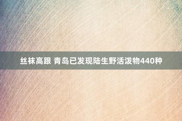 丝袜高跟 青岛已发现陆生野活泼物440种