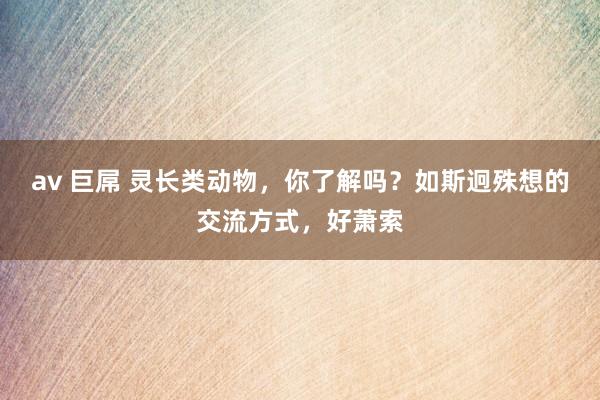 av 巨屌 灵长类动物，你了解吗？如斯迥殊想的交流方式，好萧索