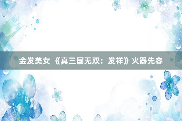 金发美女 《真三国无双：发祥》火器先容