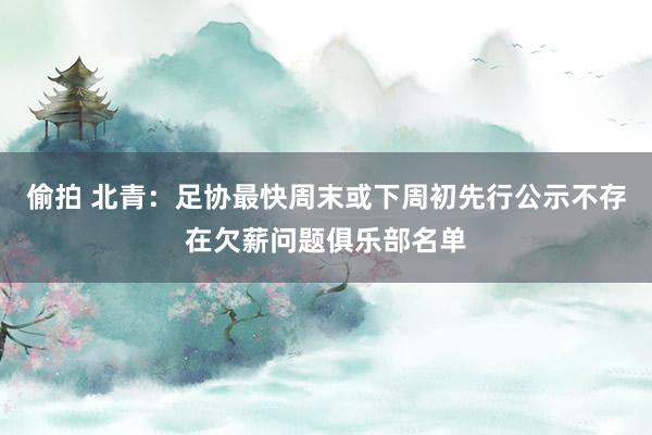 偷拍 北青：足协最快周末或下周初先行公示不存在欠薪问题俱乐部名单