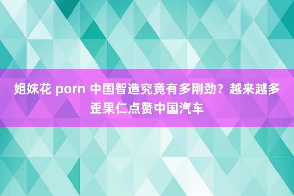 姐妹花 porn 中国智造究竟有多刚劲？越来越多歪果仁点赞中国汽车