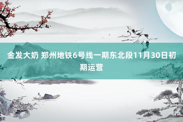 金发大奶 郑州地铁6号线一期东北段11月30日初期运营