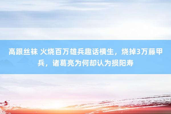 高跟丝袜 火烧百万雄兵趣话横生，烧掉3万藤甲兵，诸葛亮为何却认为损阳寿