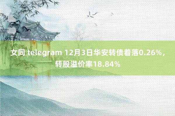 女同 telegram 12月3日华安转债着落0.26%，转股溢价率18.84%