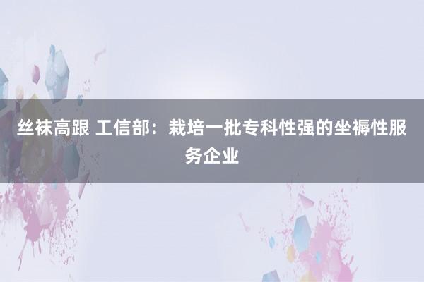 丝袜高跟 工信部：栽培一批专科性强的坐褥性服务企业