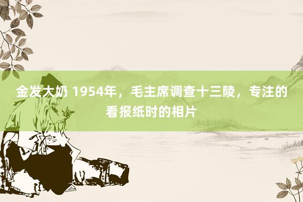 金发大奶 1954年，毛主席调查十三陵，专注的看报纸时的相片