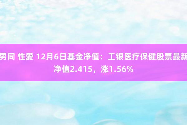 男同 性愛 12月6日基金净值：工银医疗保健股票最新净值2.415，涨1.56%
