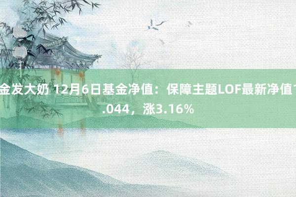 金发大奶 12月6日基金净值：保障主题LOF最新净值1.044，涨3.16%