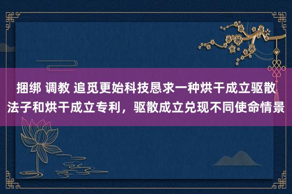 捆绑 调教 追觅更始科技恳求一种烘干成立驱散法子和烘干成立专利，驱散成立兑现不同使命情景