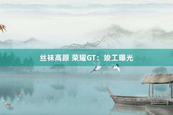 丝袜高跟 荣耀GT：竣工曝光