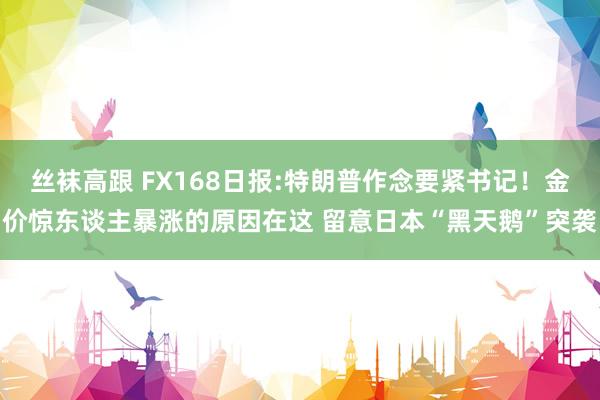丝袜高跟 FX168日报:特朗普作念要紧书记！金价惊东谈主暴涨的原因在这 留意日本“黑天鹅”突袭