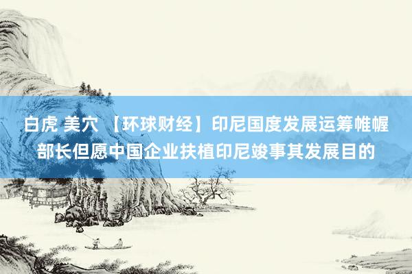 白虎 美穴 【环球财经】印尼国度发展运筹帷幄部长但愿中国企业扶植印尼竣事其发展目的