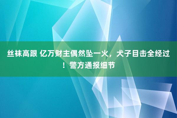 丝袜高跟 亿万财主偶然坠一火，犬子目击全经过！警方通报细节