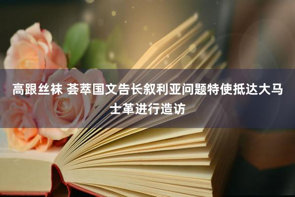 高跟丝袜 荟萃国文告长叙利亚问题特使抵达大马士革进行造访
