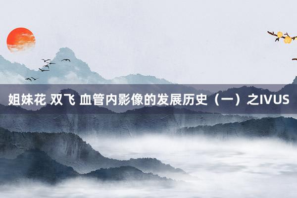 姐妹花 双飞 血管内影像的发展历史（一）之IVUS