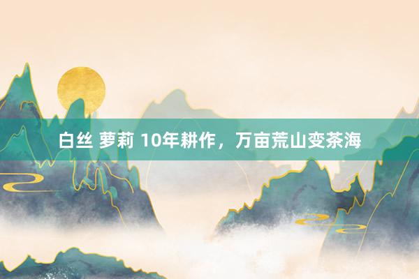 白丝 萝莉 10年耕作，万亩荒山变茶海