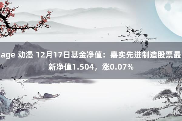 age 动漫 12月17日基金净值：嘉实先进制造股票最新净值1.504，涨0.07%