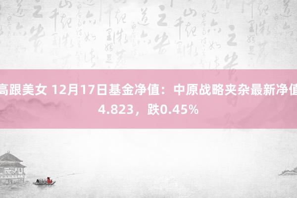 高跟美女 12月17日基金净值：中原战略夹杂最新净值4.823，跌0.45%