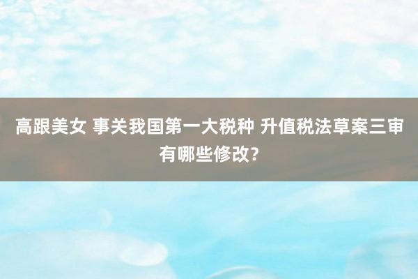 高跟美女 事关我国第一大税种 升值税法草案三审有哪些修改？