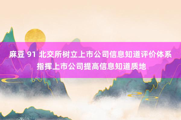 麻豆 91 北交所树立上市公司信息知道评价体系 指挥上市公司提高信息知道质地