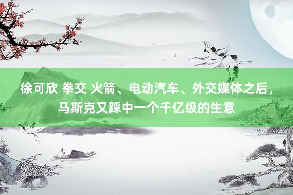 徐可欣 拳交 火箭、电动汽车、外交媒体之后，马斯克又踩中一个千亿级的生意
