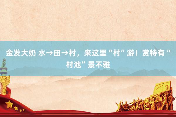 金发大奶 水→田→村，来这里“村”游！赏特有“村池”景不雅