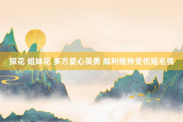 探花 姐妹花 多方爱心英勇 顺利维持受伤短毛鸮