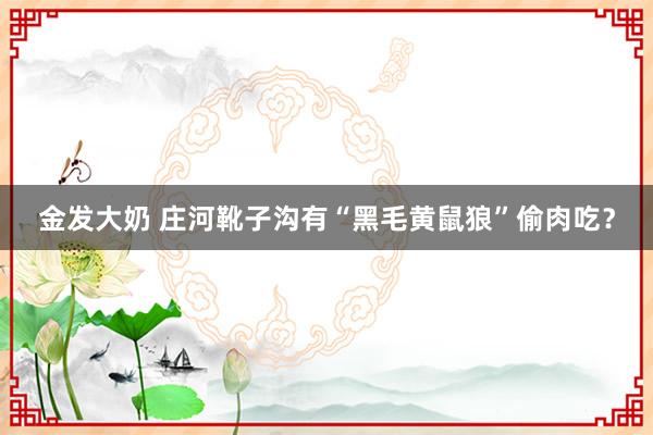 金发大奶 庄河靴子沟有“黑毛黄鼠狼”偷肉吃？
