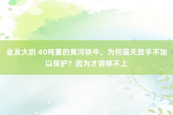 金发大奶 40吨重的黄河铁牛，为何露天放手不加以保护？因为才调够不上