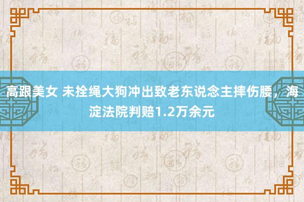 高跟美女 未拴绳大狗冲出致老东说念主摔伤腰，海淀法院判赔1.2万余元