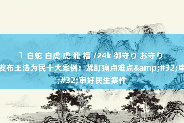 ✨白蛇 白虎 虎 龍 福 /24k 御守り お守り 湖南省高院发布王法为民十大案例：紧盯痛点难点&#32;审好民生案件