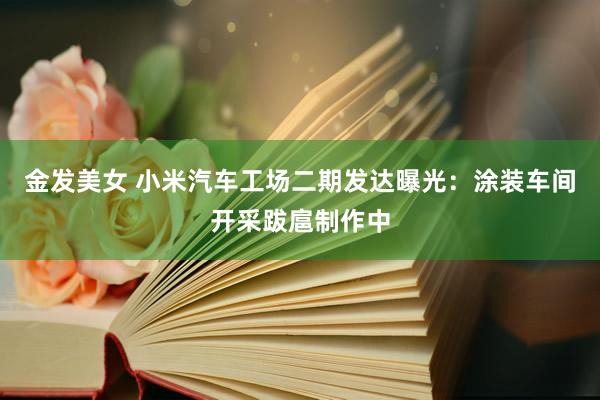 金发美女 小米汽车工场二期发达曝光：涂装车间开采跋扈制作中