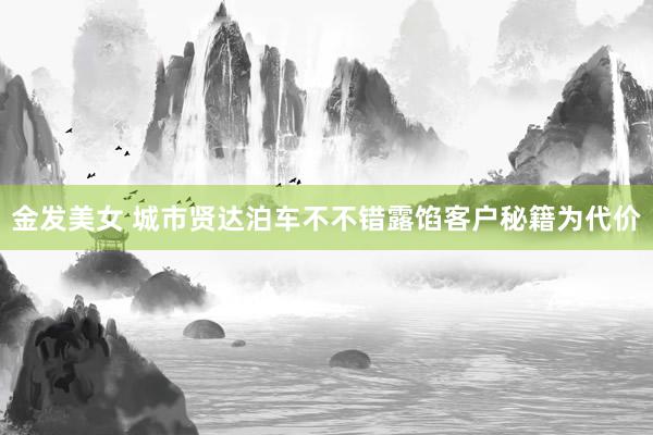 金发美女 城市贤达泊车不不错露馅客户秘籍为代价
