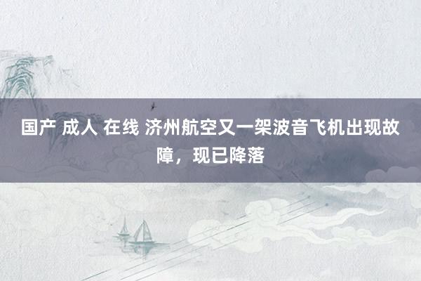 国产 成人 在线 济州航空又一架波音飞机出现故障，现已降落