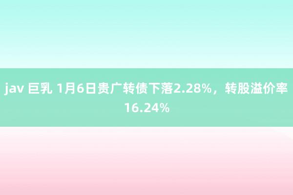 jav 巨乳 1月6日贵广转债下落2.28%，转股溢价率16.24%
