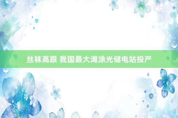 丝袜高跟 我国最大滩涂光储电站投产