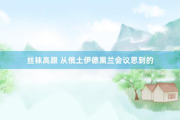 丝袜高跟 从俄土伊德黑兰会议思到的