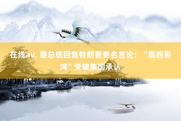 在线av. 墨总统回复特朗普更名言论：“墨西哥湾”受辘集国承认