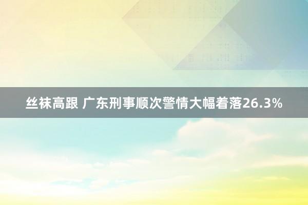 丝袜高跟 广东刑事顺次警情大幅着落26.3%
