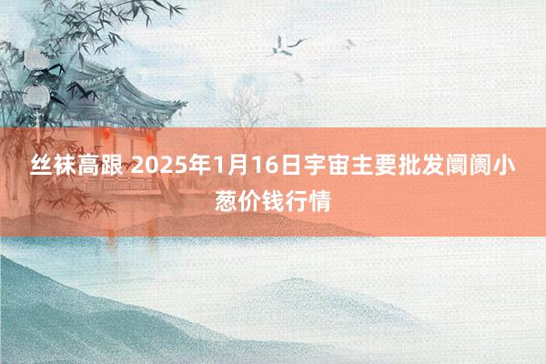 丝袜高跟 2025年1月16日宇宙主要批发阛阓小葱价钱行情