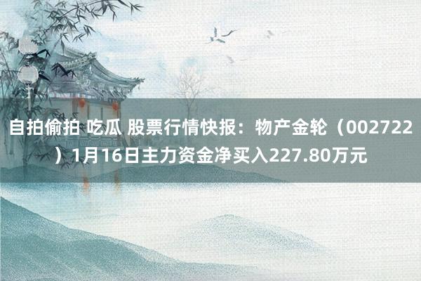 自拍偷拍 吃瓜 股票行情快报：物产金轮（002722）1月16日主力资金净买入227.80万元