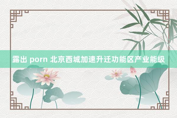 露出 porn 北京西城加速升迁功能区产业能级